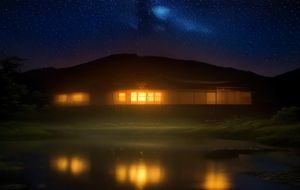 威尼斯人蜜月套房内，玫瑰花瓣铺满大床，落地窗外夜景璀璨，营造极致浪漫氛围
